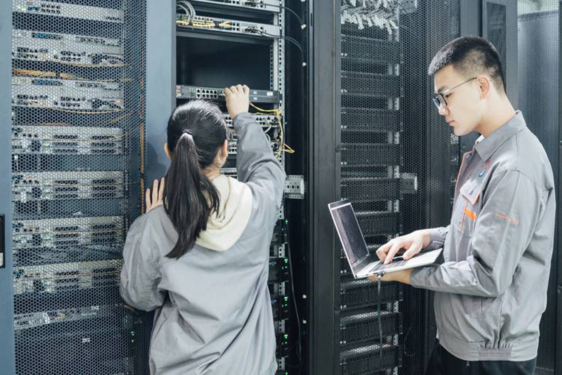 乐沃思软件
